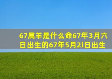 67属羊是什么命67年3月六日出生的67年5月2l日出生