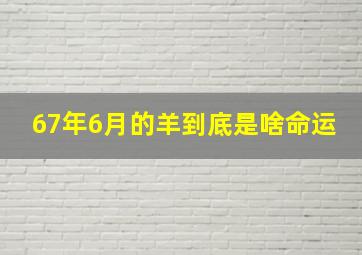 67年6月的羊到底是啥命运