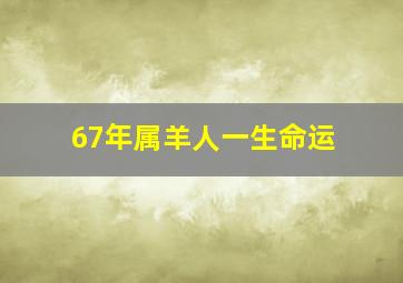 67年属羊人一生命运