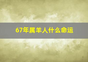 67年属羊人什么命运