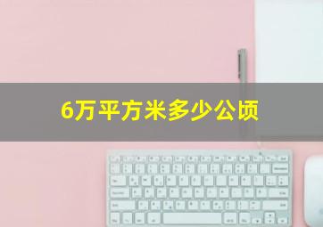 6万平方米多少公顷