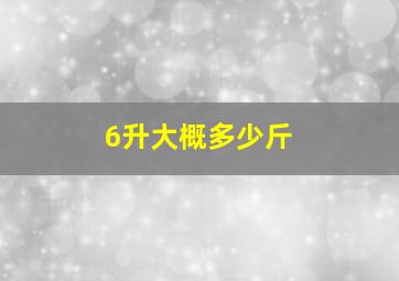 6升大概多少斤