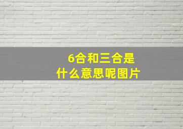 6合和三合是什么意思呢图片