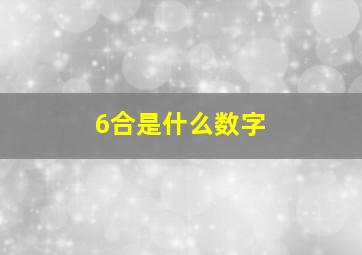 6合是什么数字