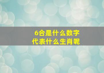 6合是什么数字代表什么生肖呢