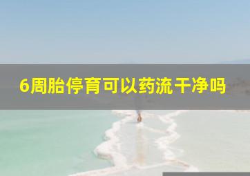 6周胎停育可以药流干净吗