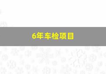 6年车检项目