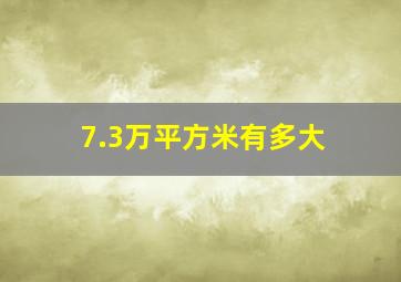 7.3万平方米有多大