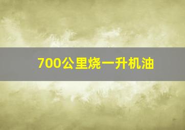 700公里烧一升机油