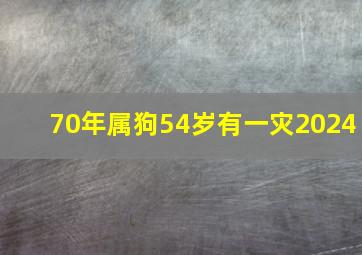 70年属狗54岁有一灾2024