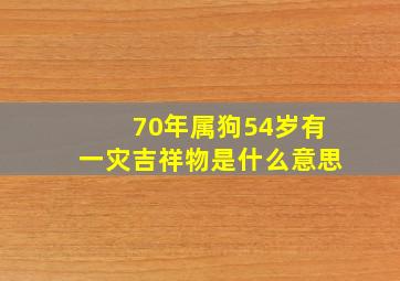 70年属狗54岁有一灾吉祥物是什么意思