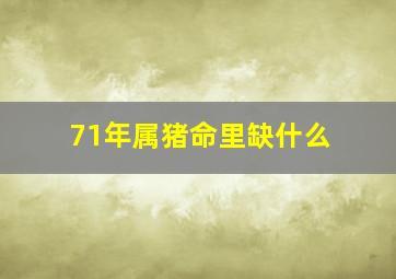 71年属猪命里缺什么