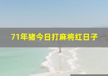 71年猪今日打麻将红日子