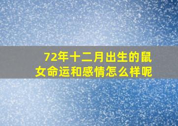 72年十二月出生的鼠女命运和感情怎么样呢