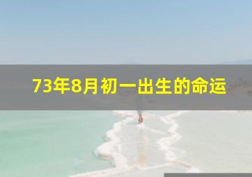 73年8月初一出生的命运