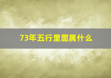 73年五行里面属什么