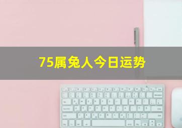 75属兔人今日运势