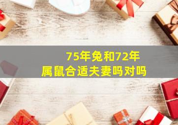 75年兔和72年属鼠合适夫妻吗对吗