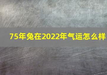 75年兔在2022年气运怎么样