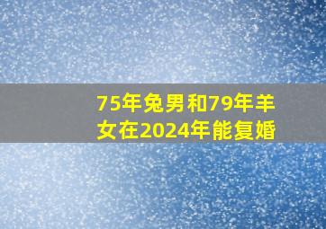 75年兔男和79年羊女在2024年能复婚