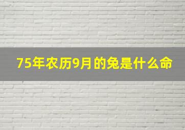 75年农历9月的兔是什么命