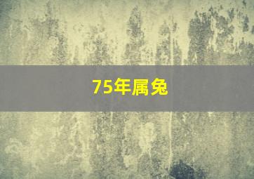 75年属兔