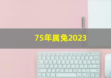 75年属兔2023