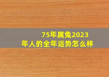 75年属兔2023年人的全年运势怎么样