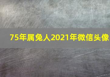 75年属兔人2021年微信头像