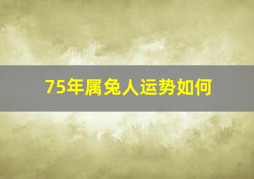 75年属兔人运势如何