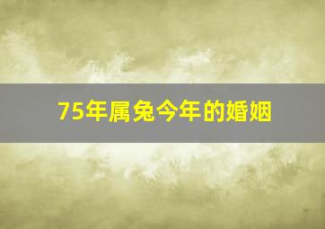 75年属兔今年的婚姻