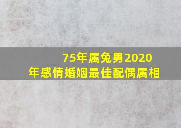 75年属兔男2020年感情婚姻最佳配偶属相