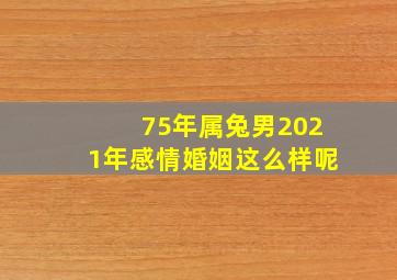 75年属兔男2021年感情婚姻这么样呢