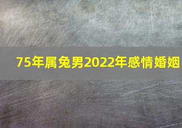 75年属兔男2022年感情婚姻