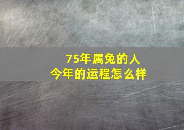 75年属兔的人今年的运程怎么样