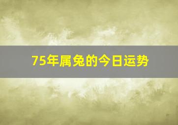 75年属兔的今日运势