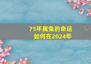 75年属兔的命运如何在2024年