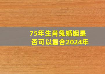 75年生肖兔婚姻是否可以复合2024年