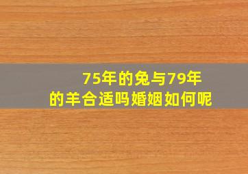 75年的兔与79年的羊合适吗婚姻如何呢