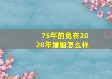 75年的兔在2020年婚姻怎么样