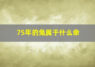 75年的兔属于什么命