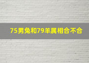 75男兔和79羊属相合不合