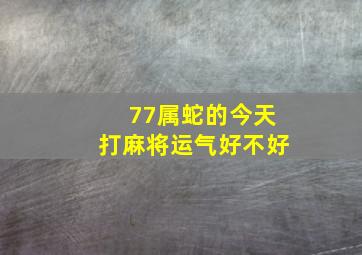 77属蛇的今天打麻将运气好不好