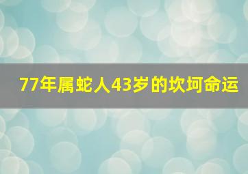 77年属蛇人43岁的坎坷命运