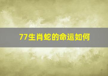 77生肖蛇的命运如何