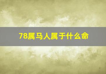 78属马人属于什么命