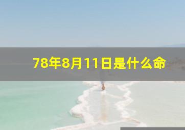 78年8月11日是什么命