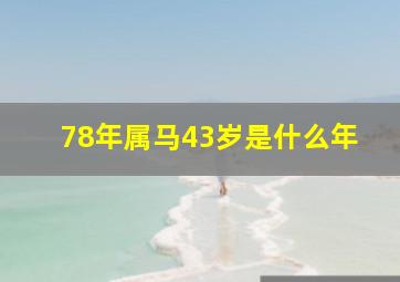 78年属马43岁是什么年