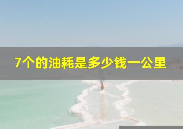 7个的油耗是多少钱一公里