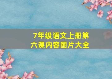 7年级语文上册第六课内容图片大全